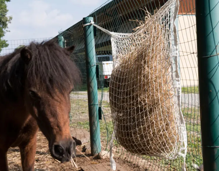 Net for medium mobile feeding trough, 110x90 cm